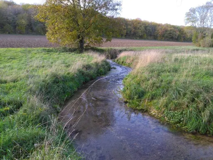les terres regenerees du pommier — photo 2