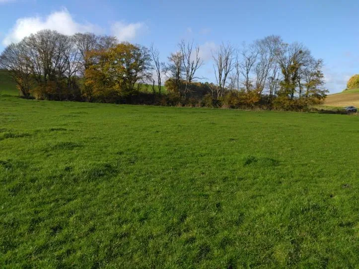 les terres regenerees du pommier — photo 3