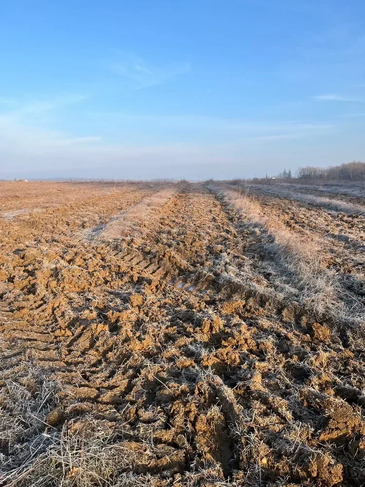 le bois de la cheneraude — photo 1