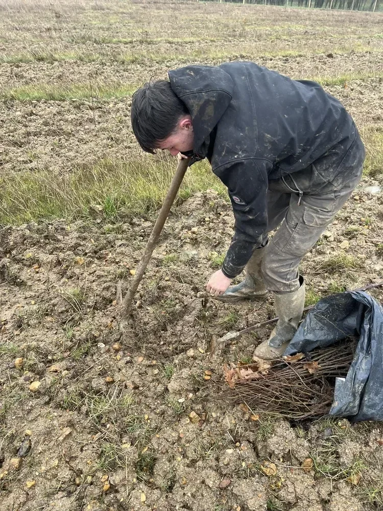 le bois de la cheneraude — photo 2
