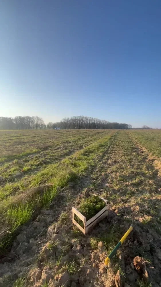 le bois de la cheneraude — photo 3