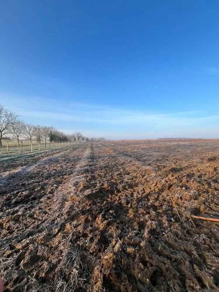 le bois de la cheneraude — photo 4