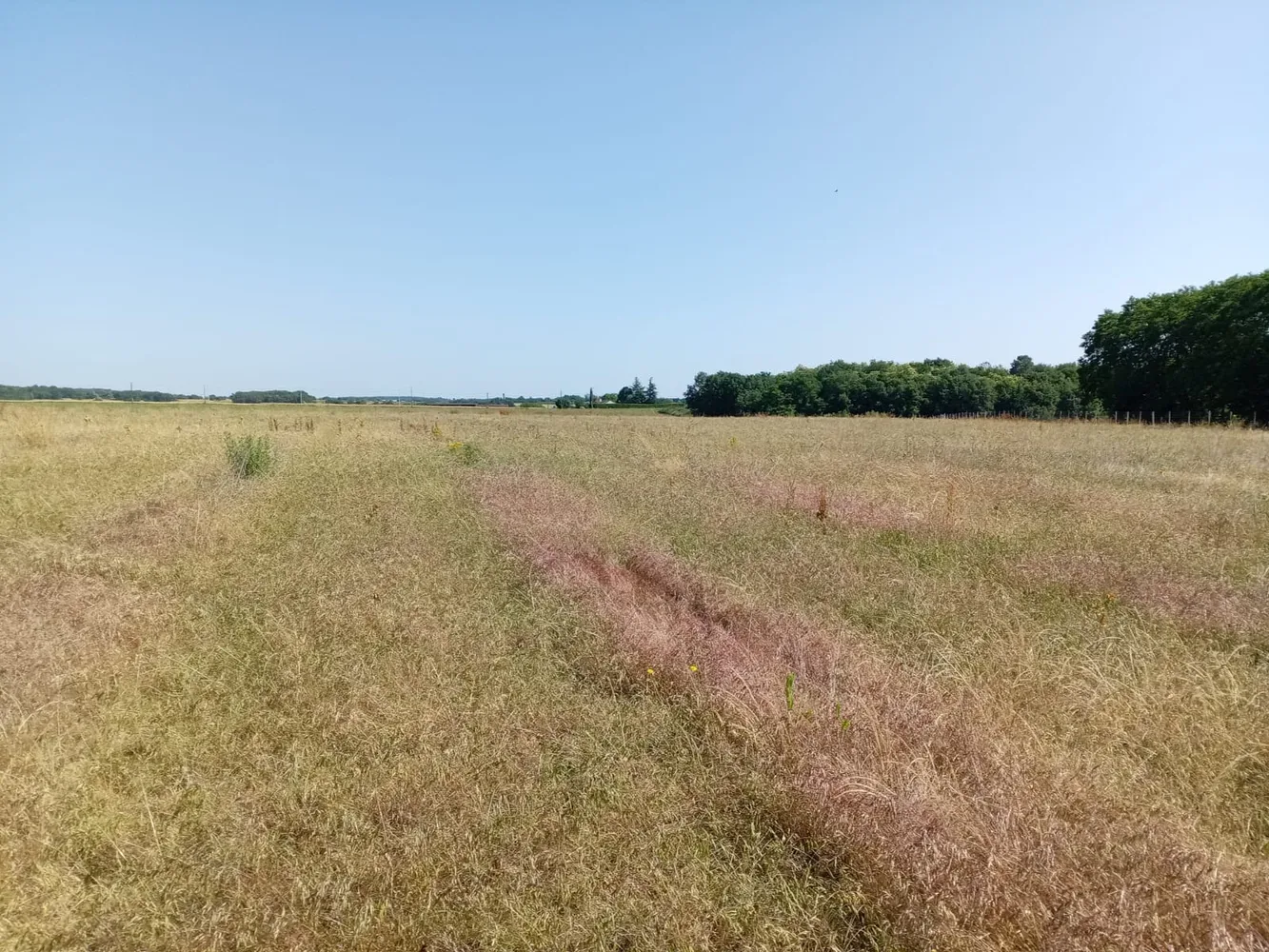 le bois de la cheneraude — photo 5