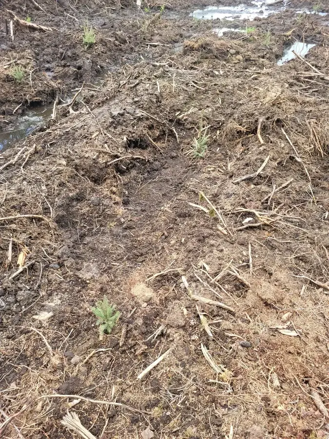 le bois de la garde — photo 3