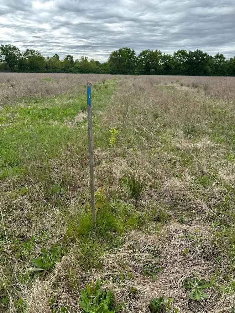 le bois des fruitieres — photo 2