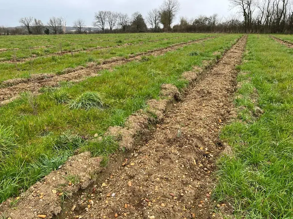 le bois des godelieres — photo 2