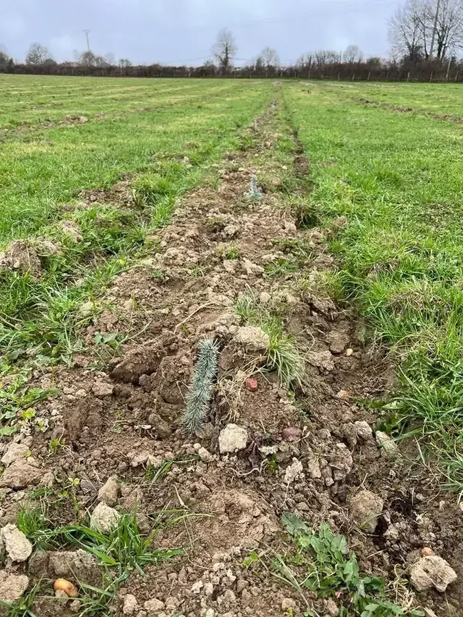 le bois des godelieres — photo 3