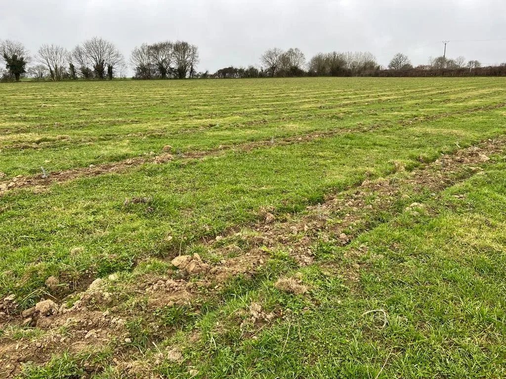 le bois des godelieres — photo 4