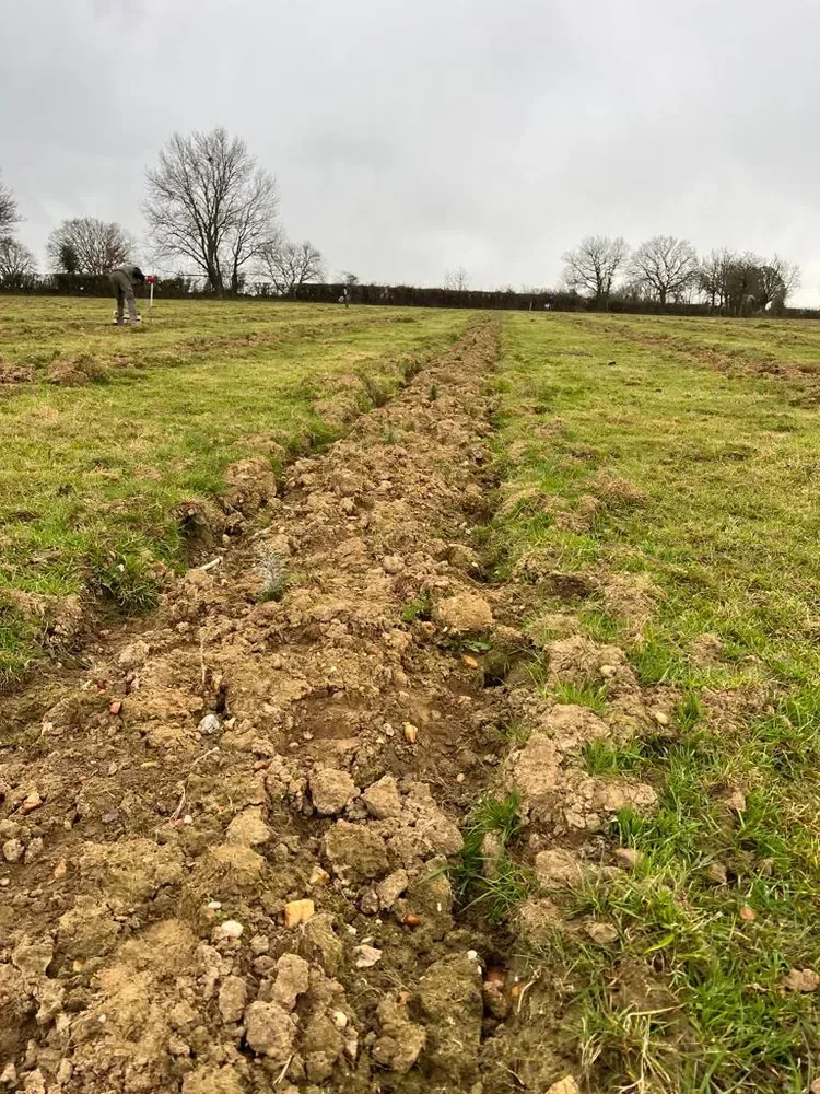 le bois des godelieres — photo 5