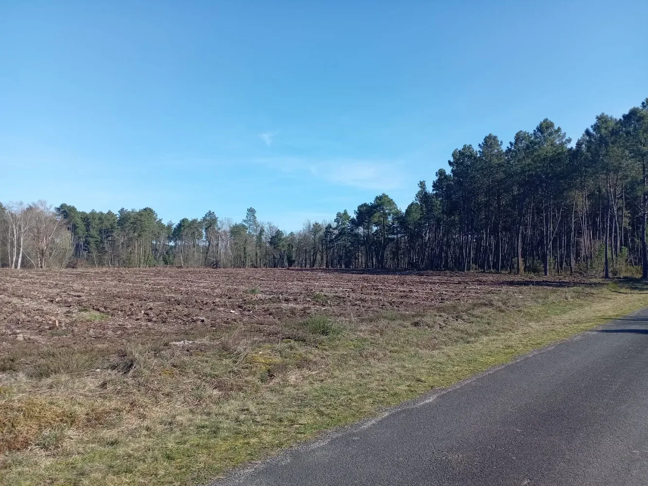 le bois de la butte rouge — photo 1