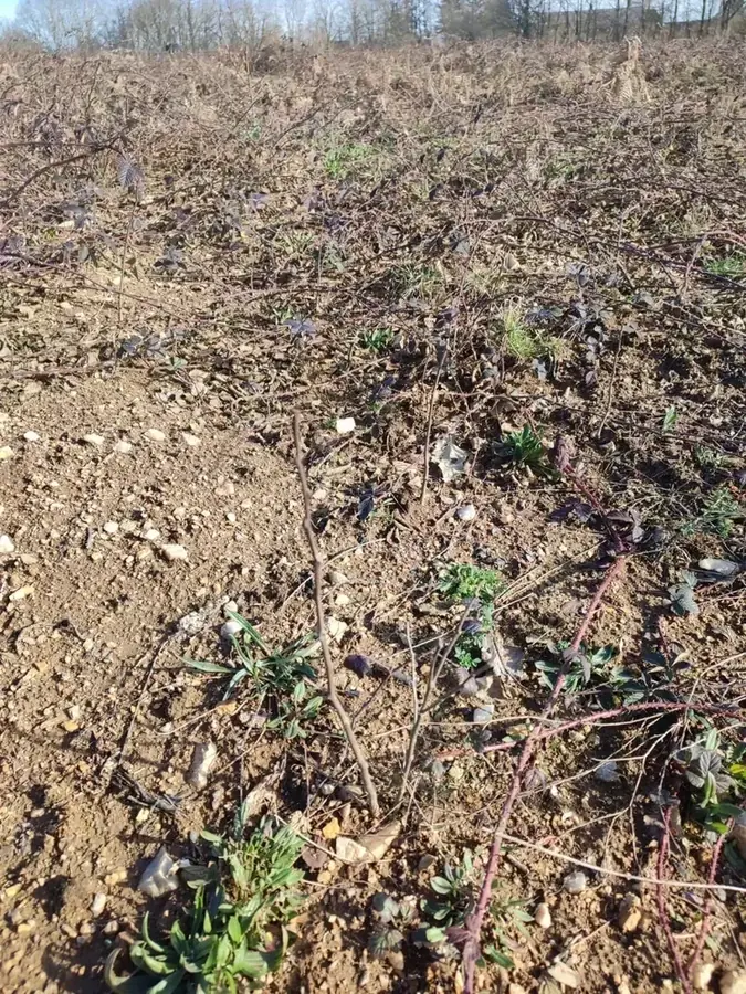 le bois de l autier — photo 2