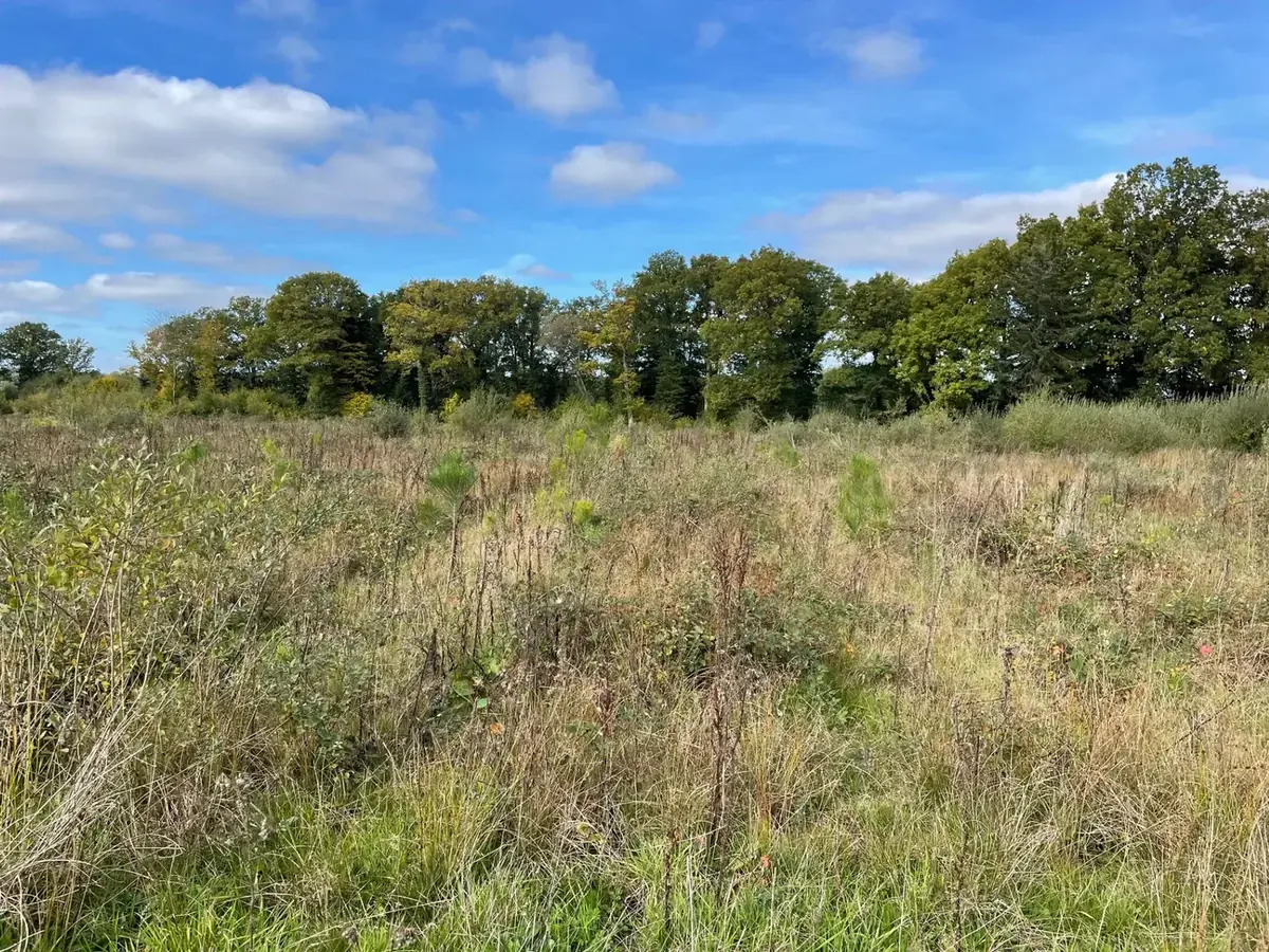 le bois du roy — photo 2