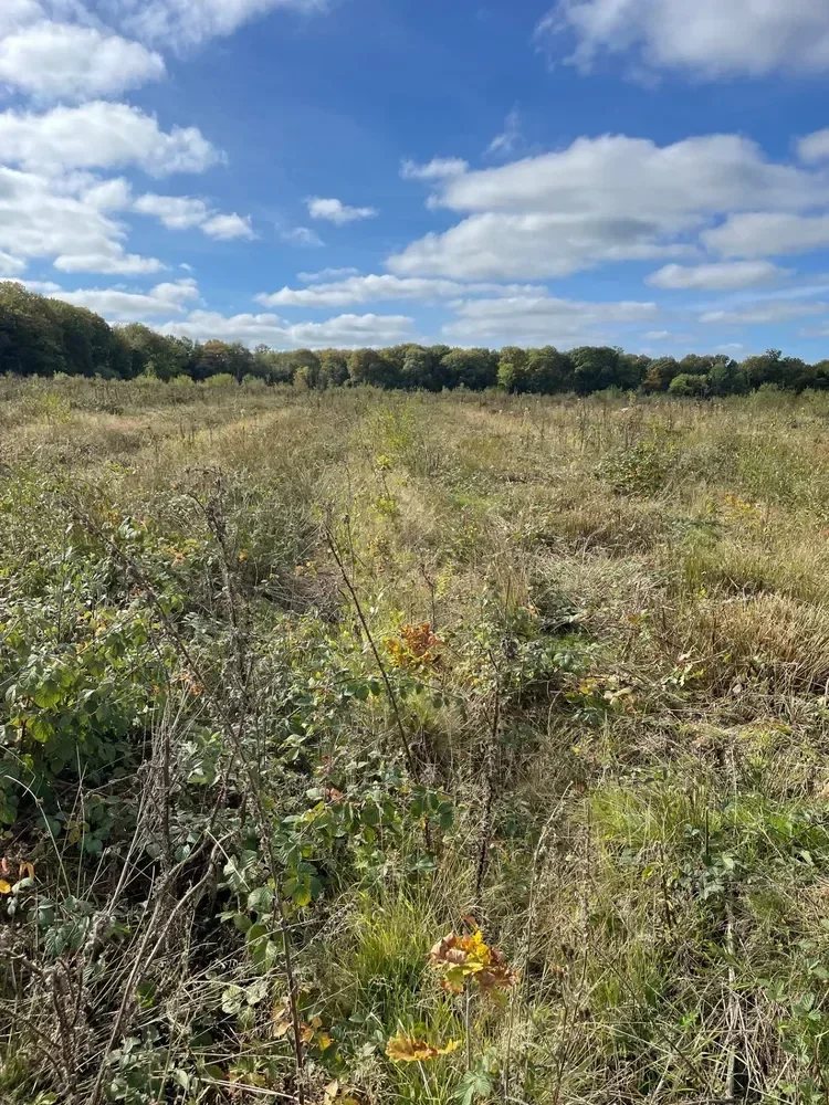 le bois du roy — photo 5