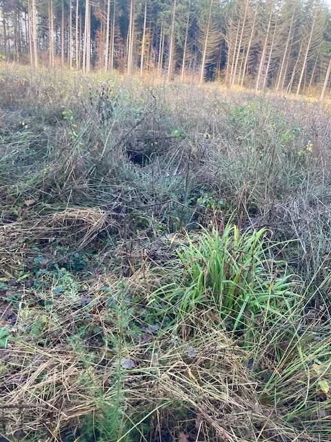 le bois de l oasis — photo 1