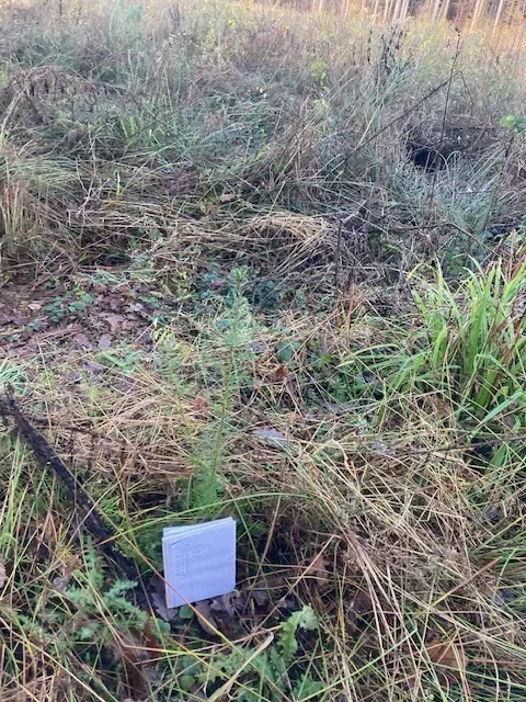 le bois de l oasis — photo 2