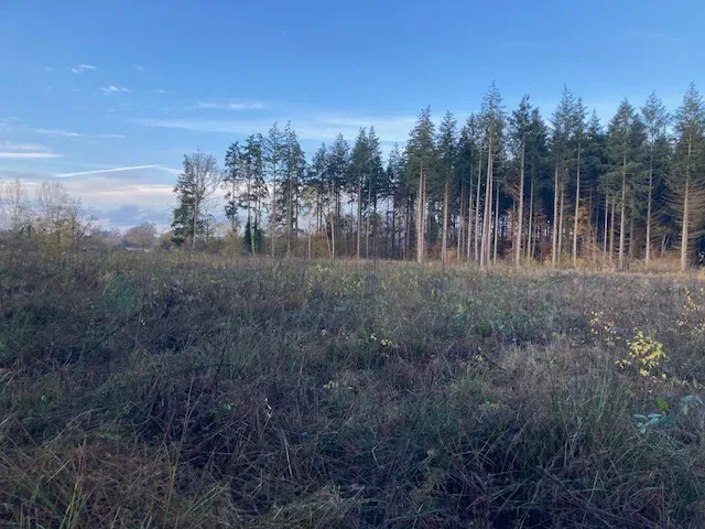 le bois de l oasis — photo 3