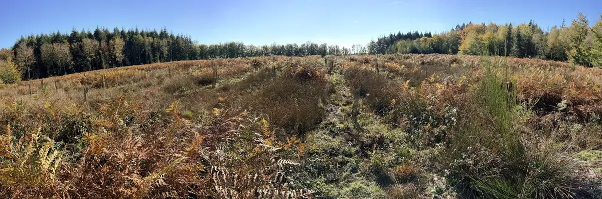 le bois des arnettes — photo 2