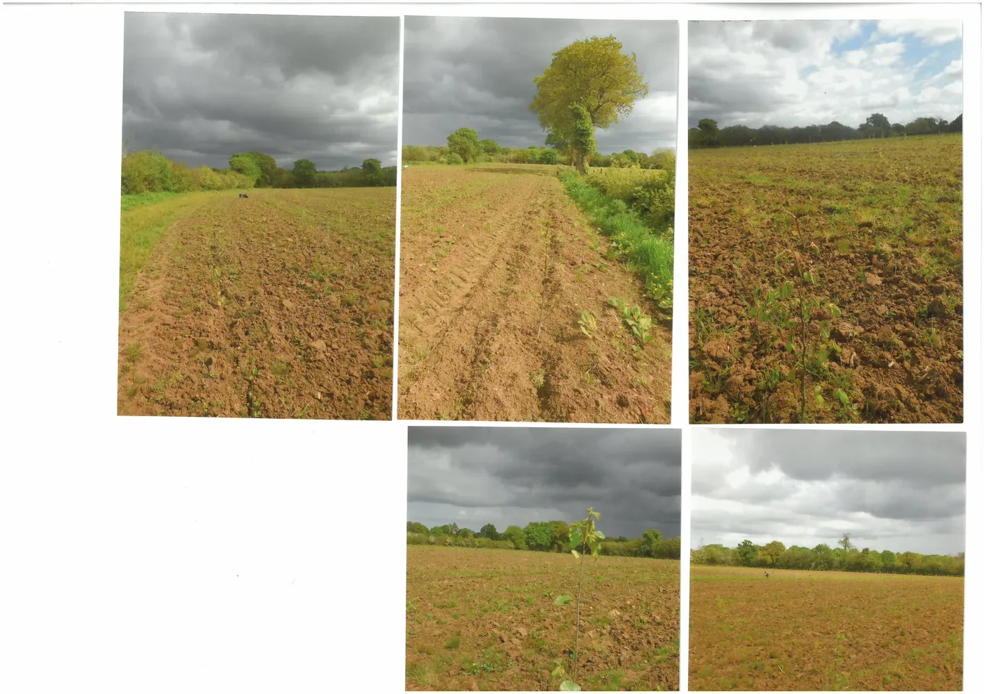 le bois de la bocagerie — photo 1