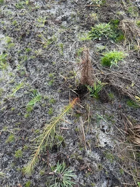 le bois de bayle — photo 2