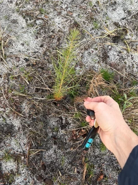 le bois de bayle — photo 4