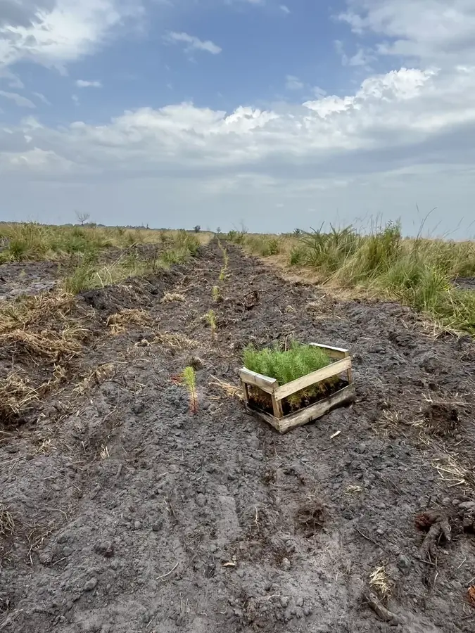 le bois de bayle — photo 5