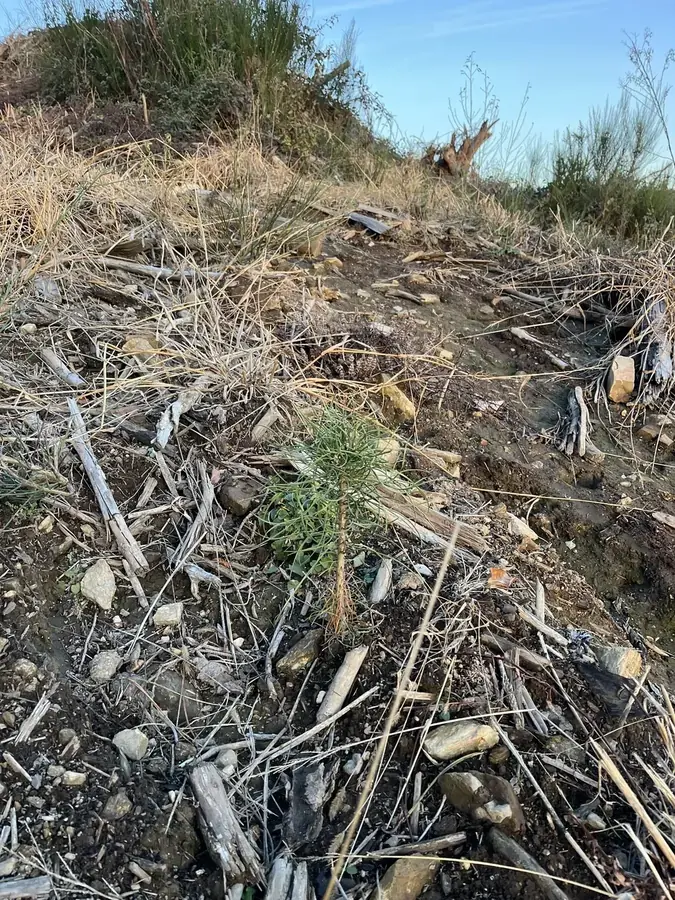 le bois du prince — photo 1