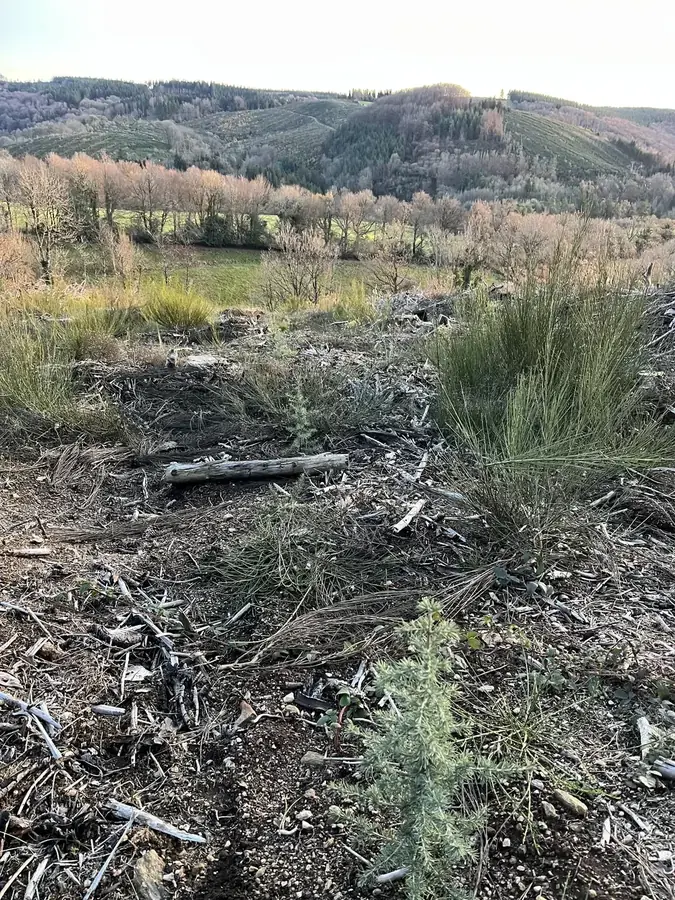 le bois du prince — photo 5