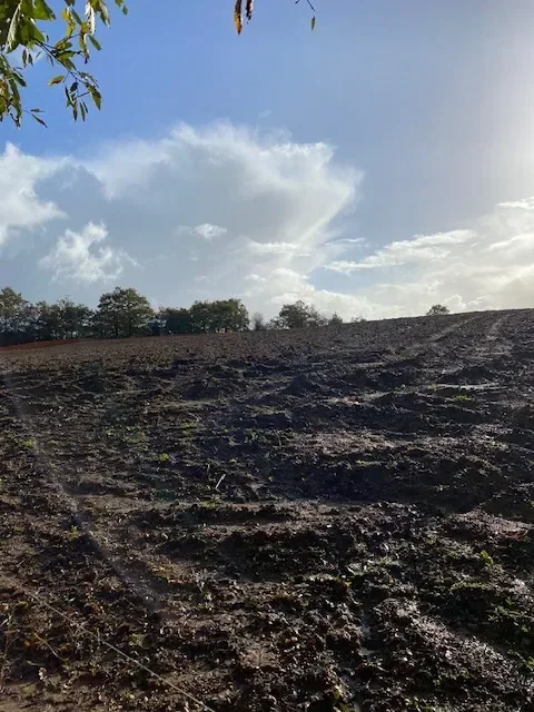 le bois du grand pont — photo 4