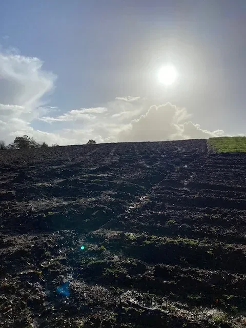 le bois du grand pont — photo 5