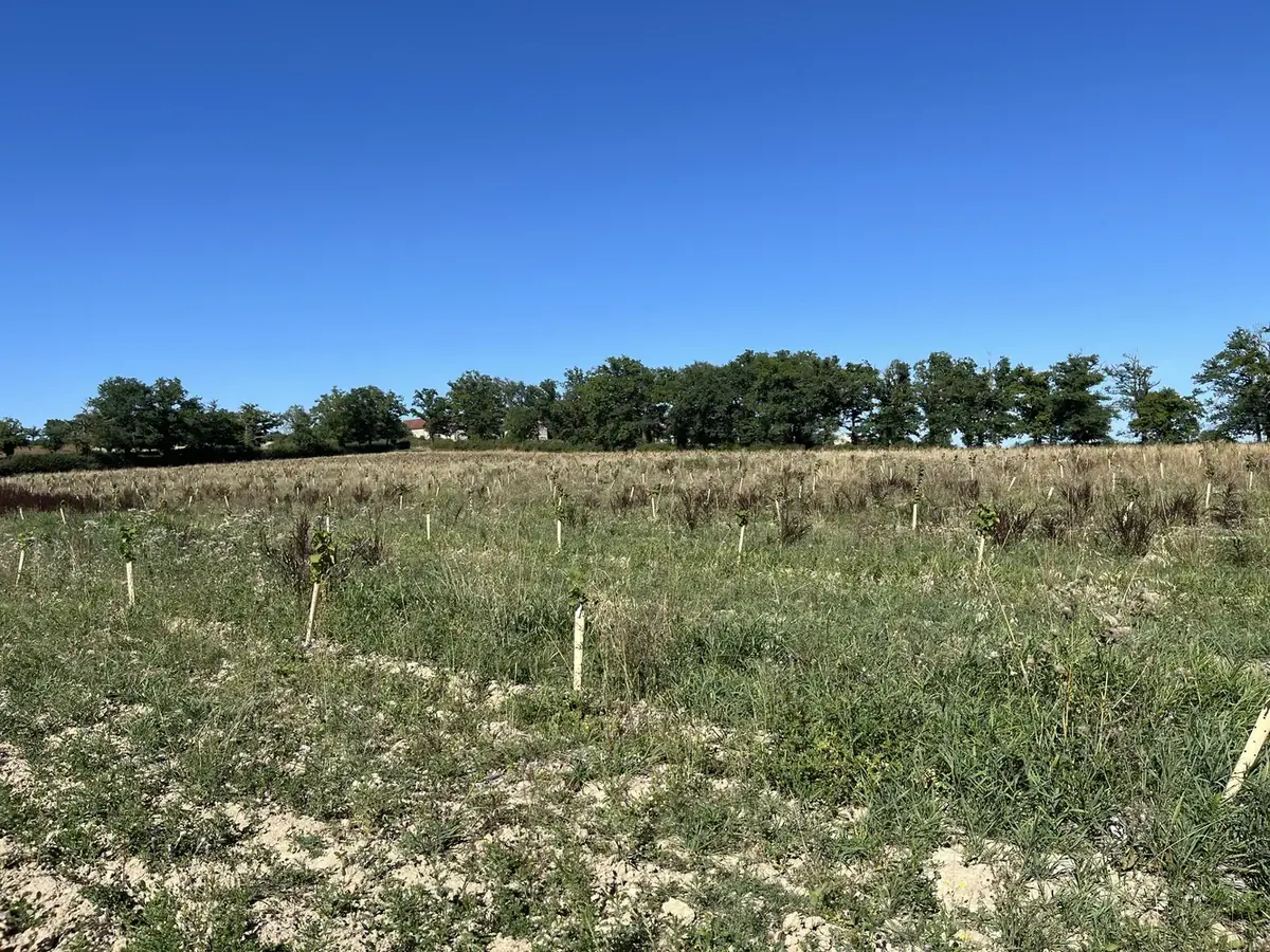 vergers des trois fonds phase 1 — photo 2