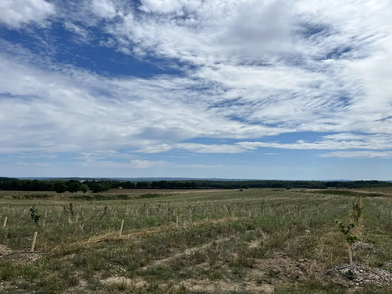 vergers des trois fonds phase 1 — photo 3