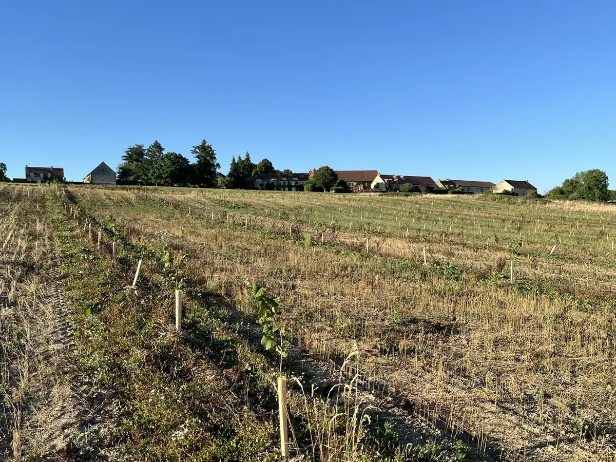 vergers des trois fonds phase 1 — photo 4