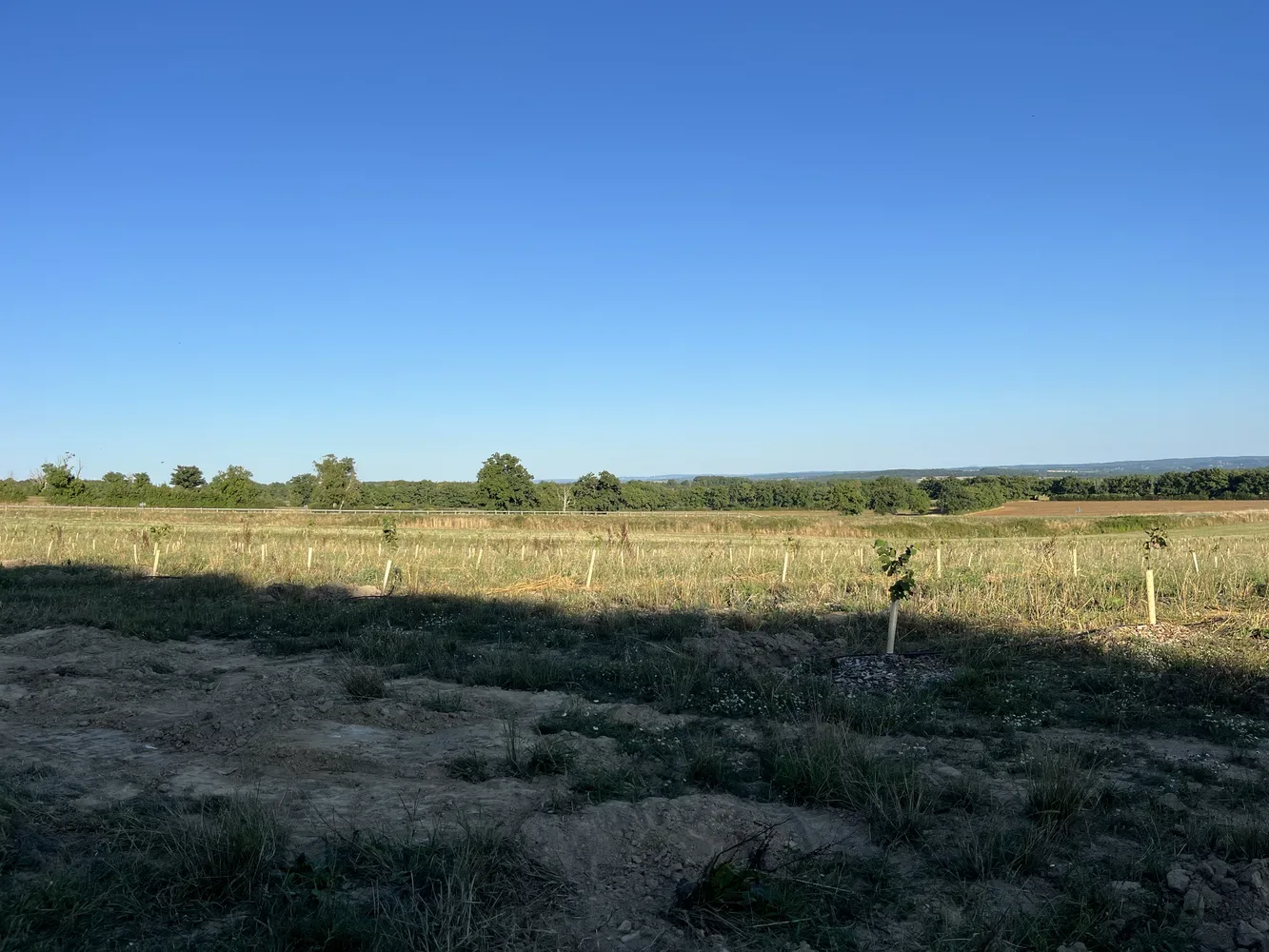 vergers des trois fonds phase 1 — photo 5