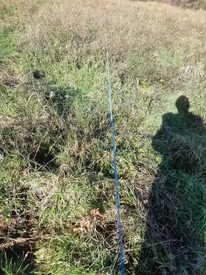 le bois de la bataillere — photo 2