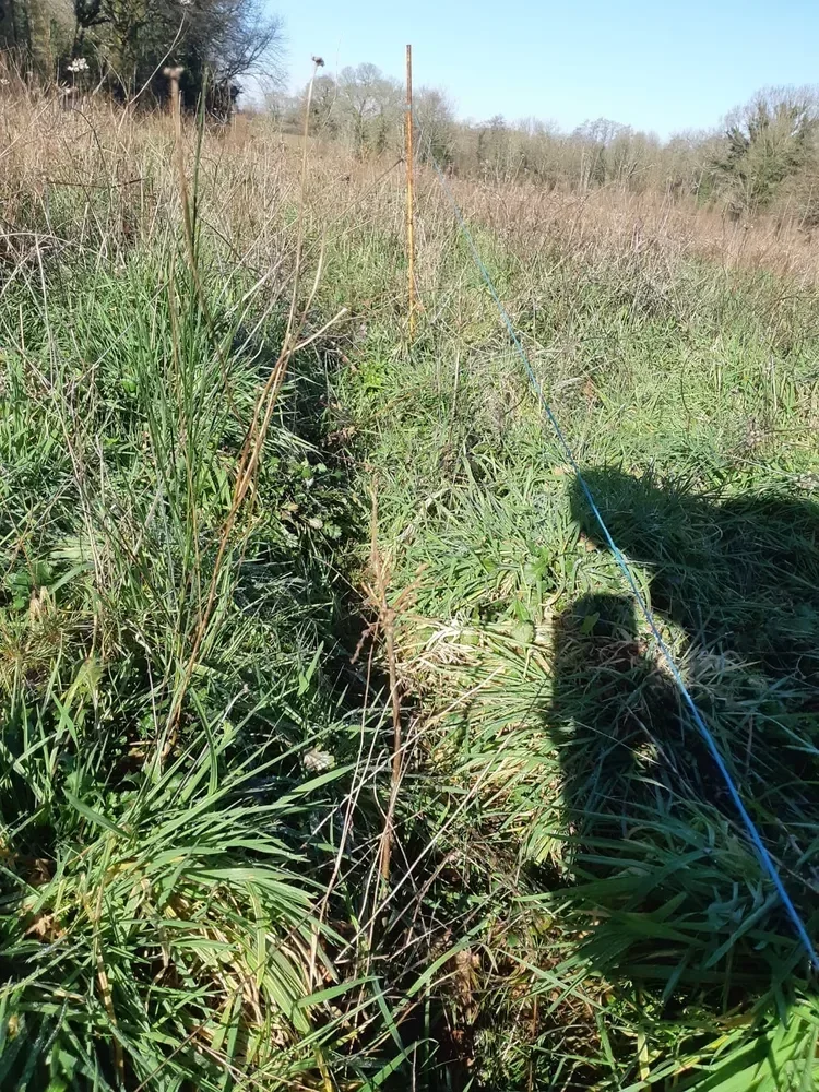 le bois de la bataillere — photo 3