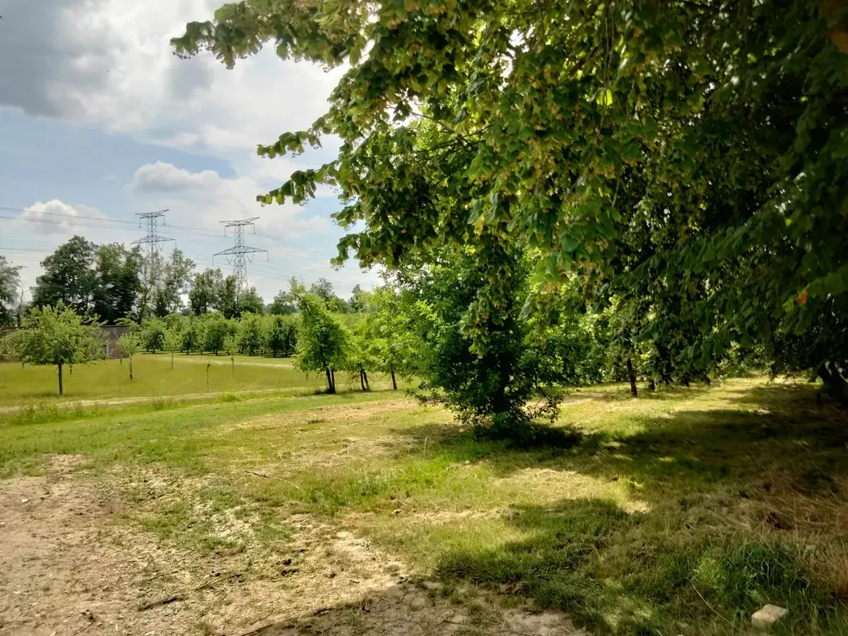 les haies des boucles de seine — photo 5