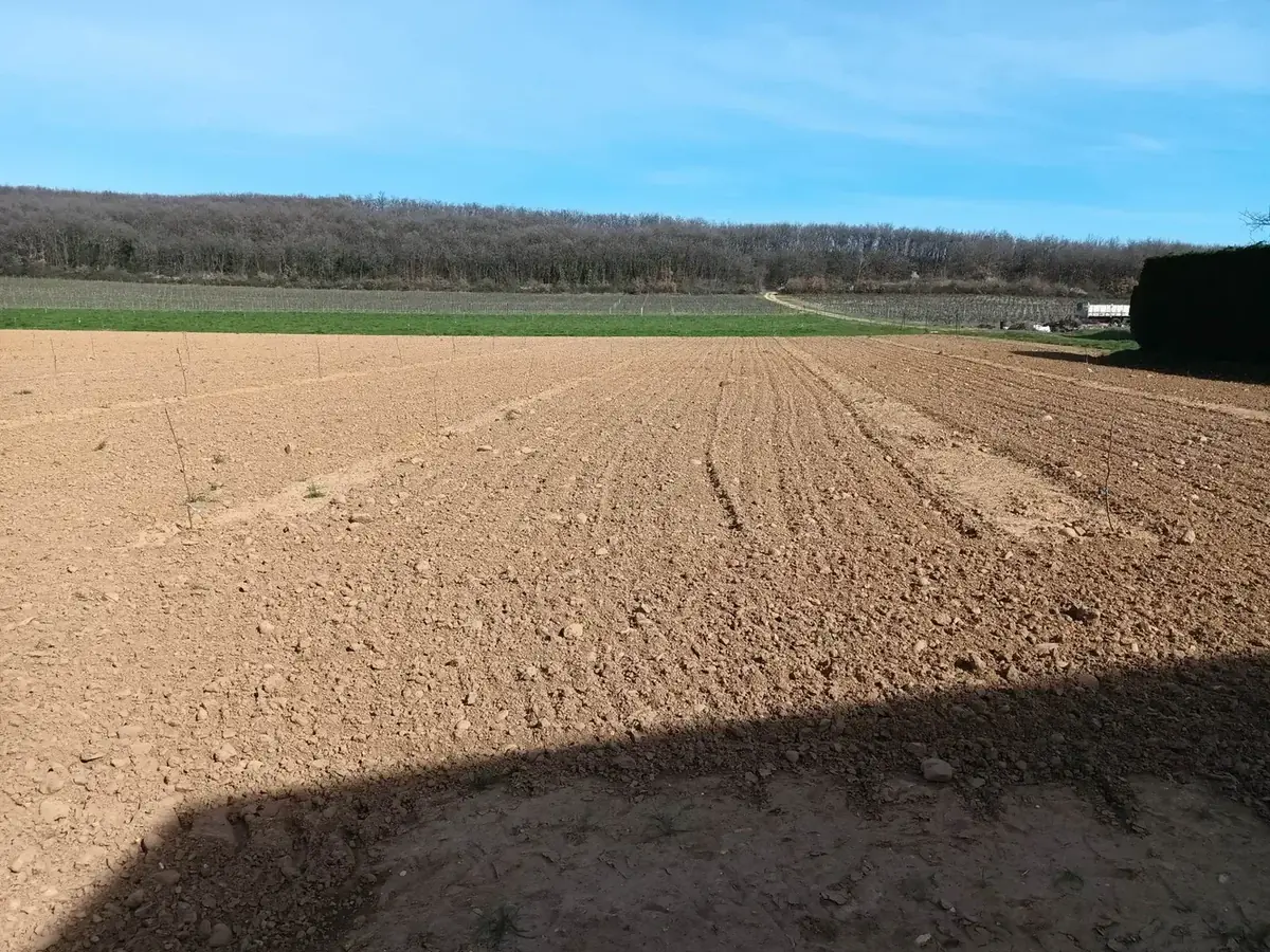 les vergers de chateauneuf n 2 — photo 2