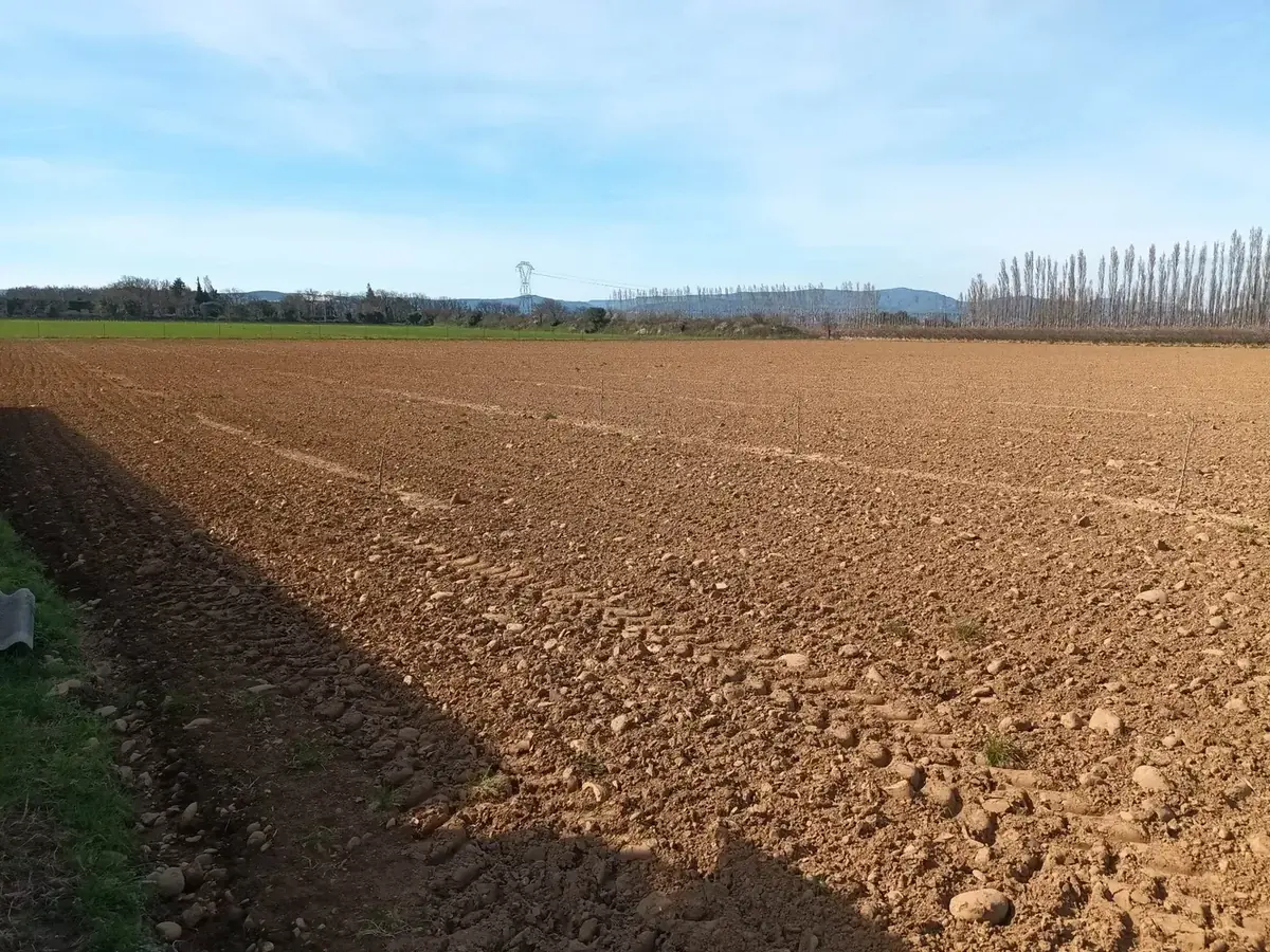 les vergers de chateauneuf n 2 — photo 3