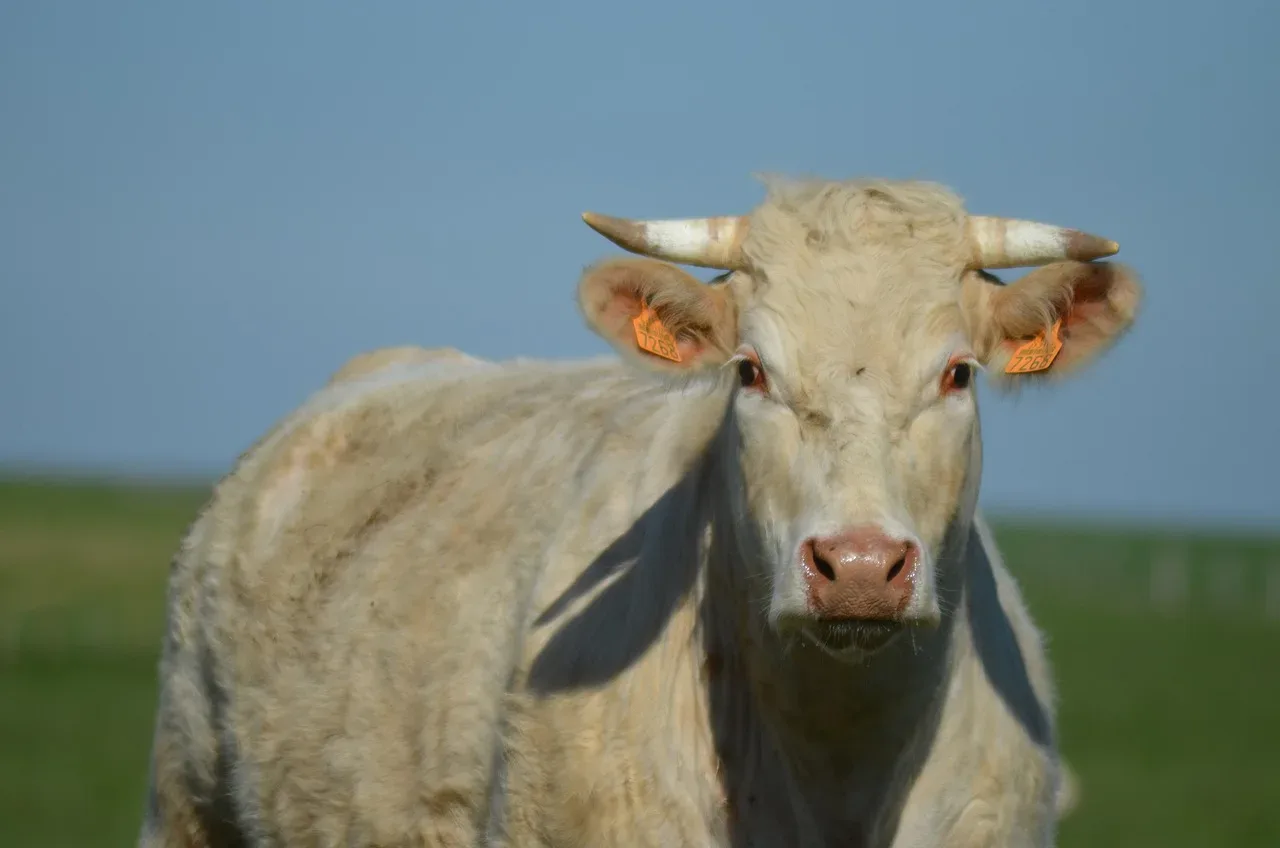 les pres verts du sentier 241 006 — photo 1