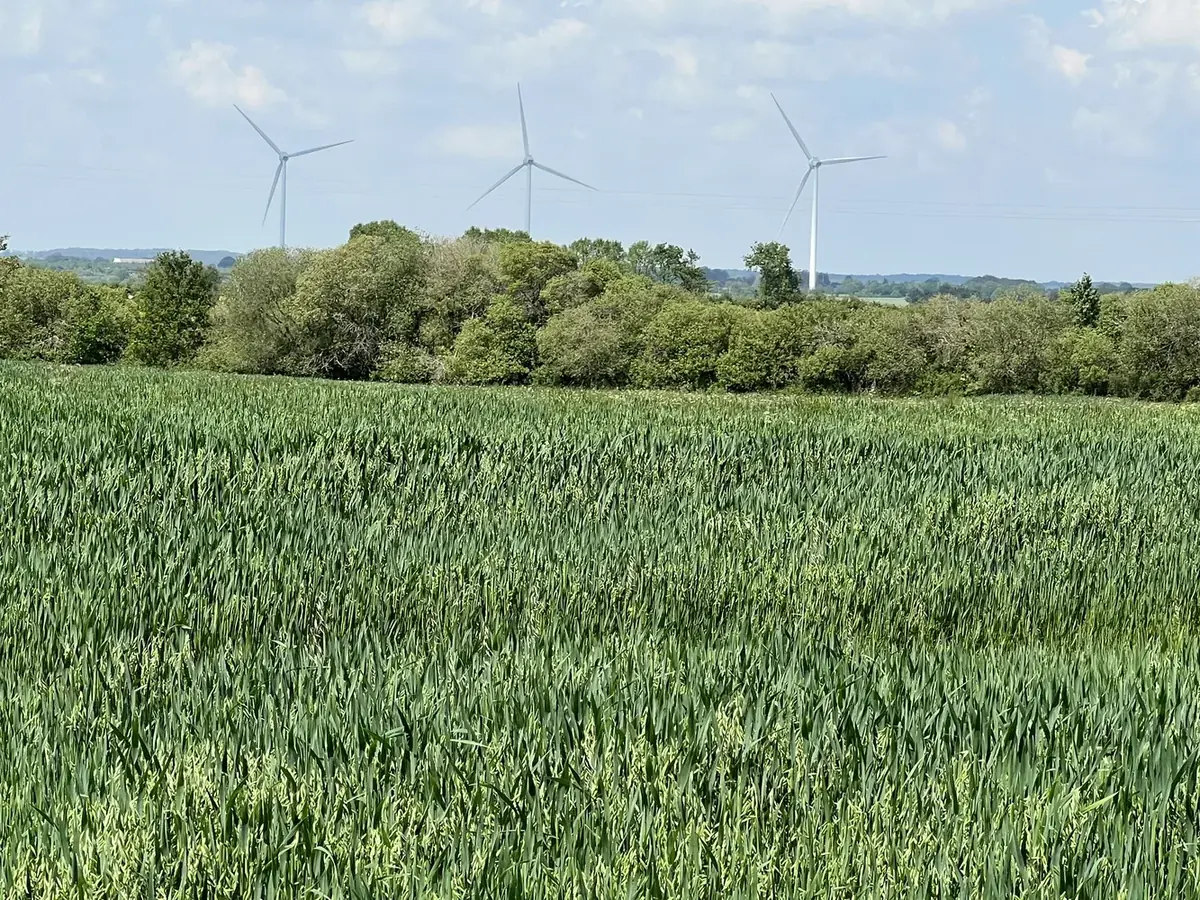 le bois du breuil — photo 1