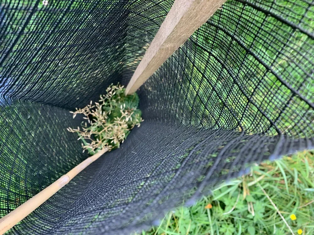 le bois du touquet — photo 1