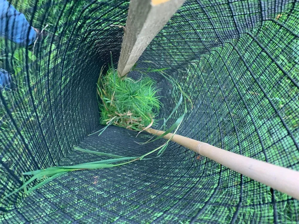 le bois du touquet — photo 3