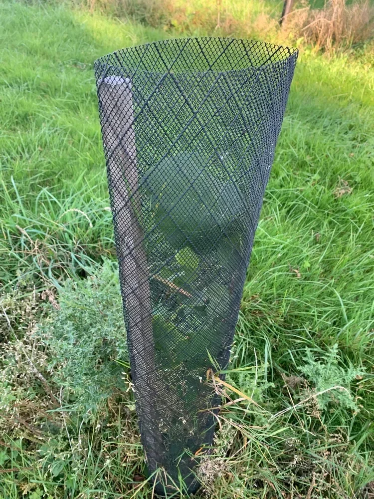 le bois du touquet — photo 4