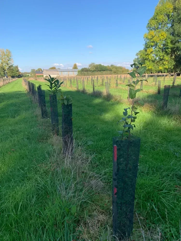 le bois du touquet — photo 5