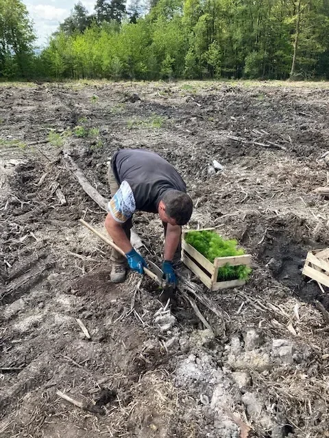 le bois du grand boulat — photo 3