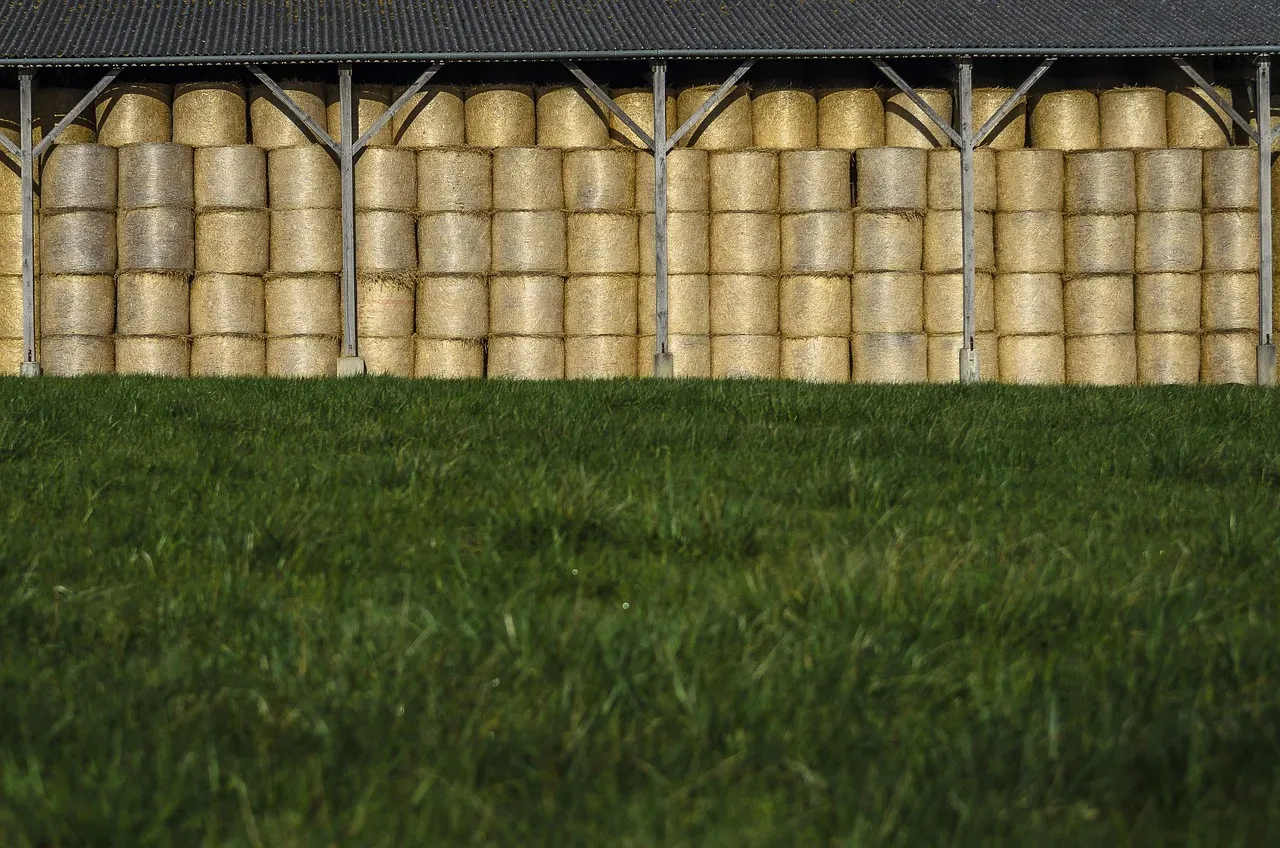 les alpages du bois 267 008 — photo 1