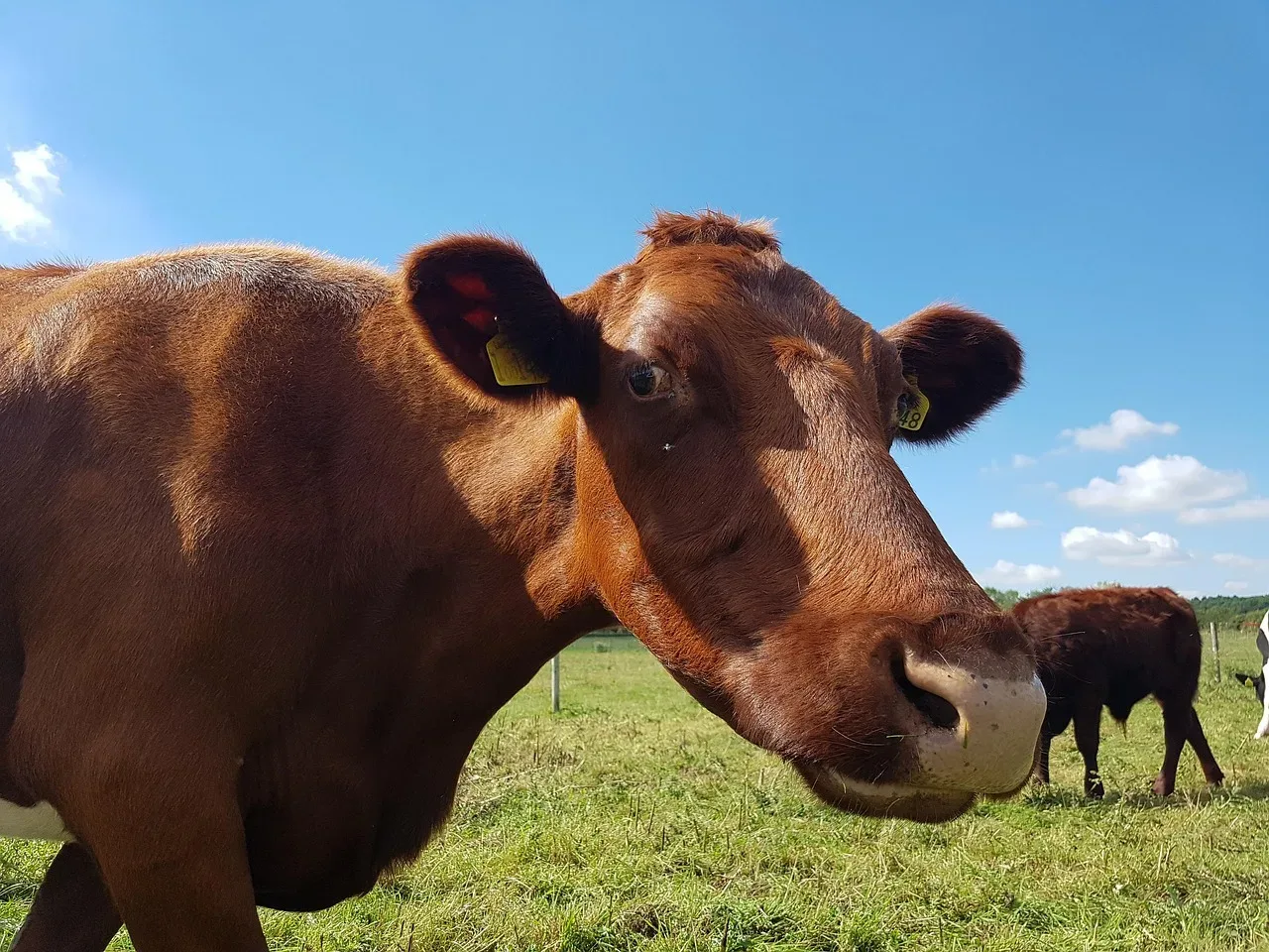 les patures du sentier 267 009 — photo 1