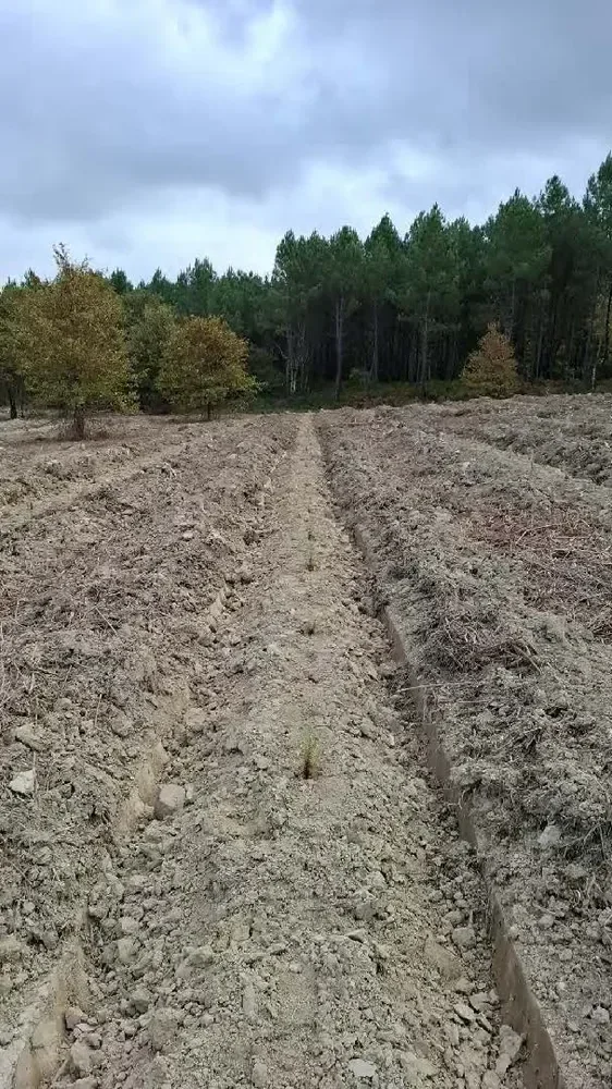 le bois de jordi — photo 2