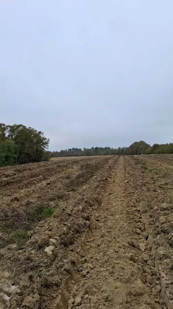 le bois de jordi — photo 3