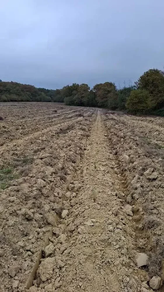 le bois de jordi — photo 5